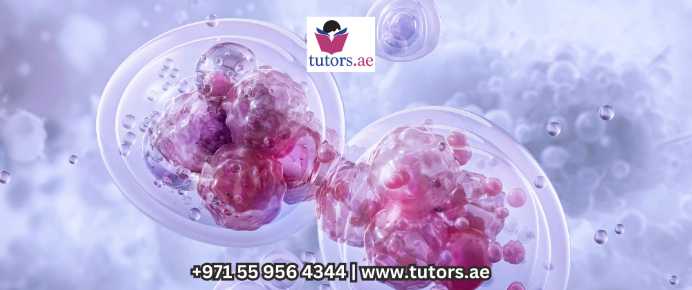 Online Physics tutors in Dubai