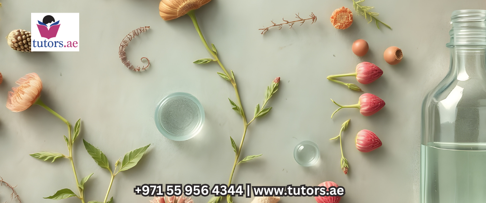 A Level English Tutor in Dubai Marina